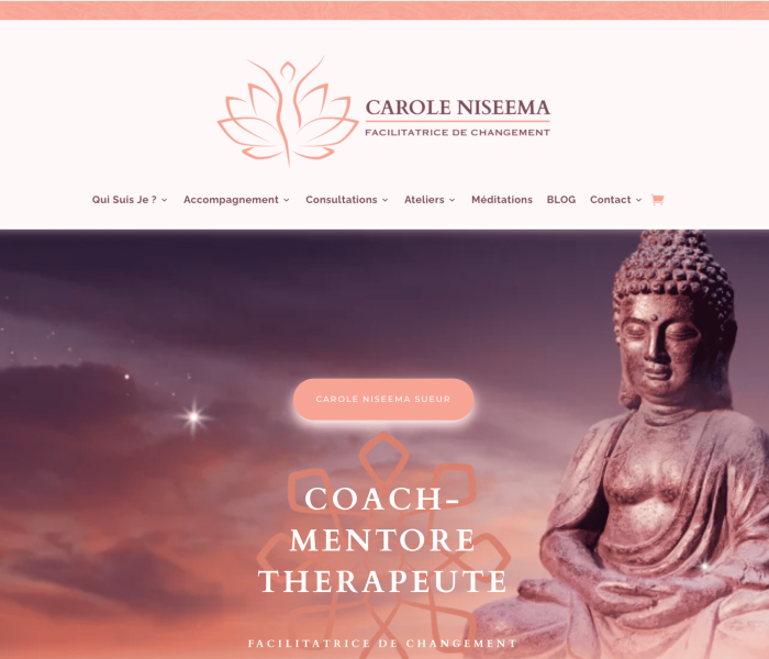webmaster montpellier